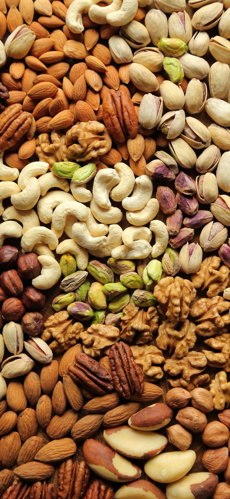 Dry Fruits
